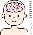 人の脳のイラスト 135133585