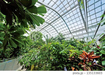 熱帯環境植物館 135133603