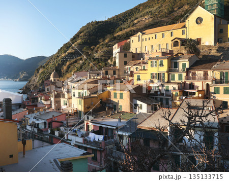 View of Vernazza, town in Cinque Terre, from mountain. Nature and sea, traditional buildings of Liguria, Italy. Architecture protected by UNESCO. Background for design. View of Vernazza, town in Cinque Terre, from mountain. Nature and sea, traditional buildings of Liguria, Italy. Architecture protected by UNESCO. Background for design. 135133715