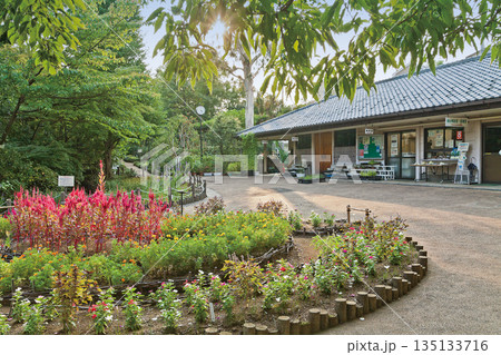 赤塚植物園 赤塚植物園 135133716