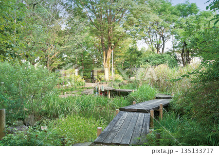 赤塚植物園 135133717
