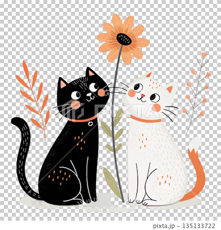 Charming cat couple illustration black cat and white cat standing side by side white background  135133722