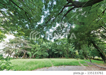 都立赤塚公園 都立赤塚公園 135133761