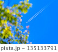快晴の青空に浮かぶ飛行機と新緑の葉 135133791