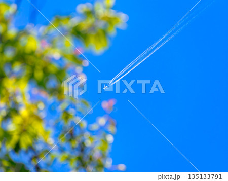 快晴の青空に浮かぶ飛行機と新緑の葉 135133791