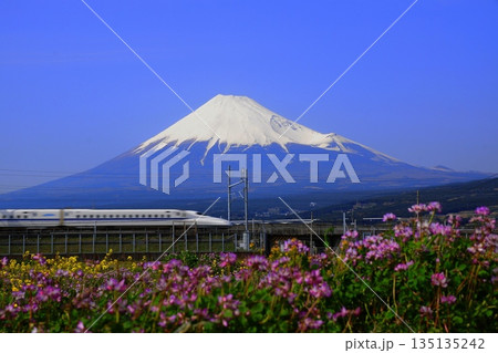 富士山とレンゲソウの畑を行く新幹線　4月風景･富士山405新幹線とレンゲソウ 135135242
