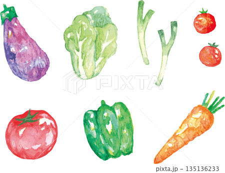 いろいろな野菜の水彩イラスト 135136233