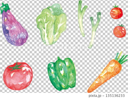 いろいろな野菜の水彩イラスト 135136233