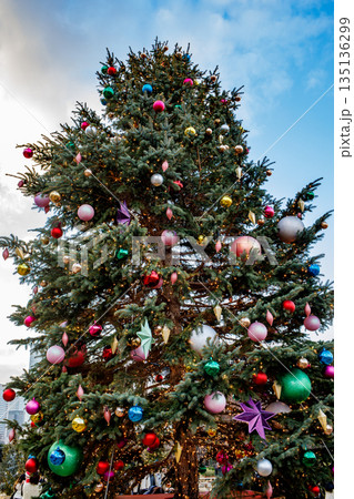 クリスマスツリー 135136299