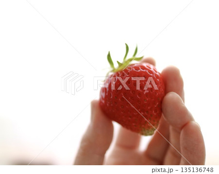 手のひらに乗せた苺 135136748