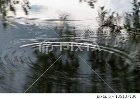 Rain Ripples Creating Calm Water Circles Rain Ripples Creating Calm Water Circles 135137130