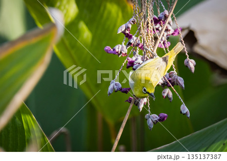 台湾 台北 台北市 135137387