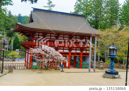 桜に囲まれた高野山 壇上伽藍 中門 桜に囲まれた高野山 壇上伽藍 中門 135138068