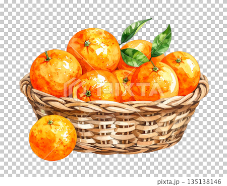 籃子裡的柑橘水彩插圖 135138146