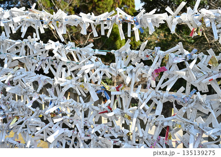 神に願う、結ばれたおみくじ 135139275