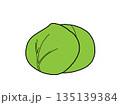 キャベツのアイコン 135139384