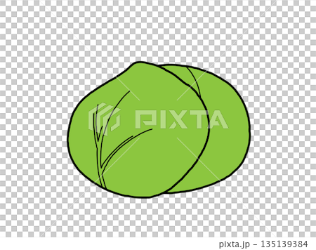 Cabbage icon Cabbage icon 135139384