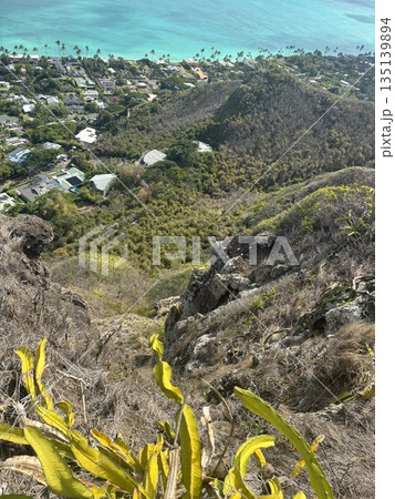 ハワイのラニカイ・ピルボックス・トレイルからの風景 ハワイのラニカイ・ピルボックス・トレイルからの風景 135139894