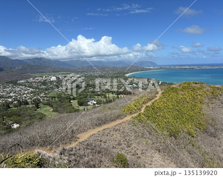 ハワイのラニカイ・ピルボックス・トレイルの道 ハワイのラニカイ・ピルボックス・トレイルの道 135139920
