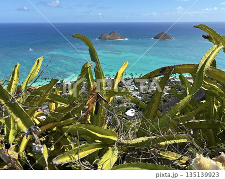 ハワイのラニカイ・ピルボックス・トレイルからの風景 ハワイのラニカイ・ピルボックス・トレイルからの風景 135139923