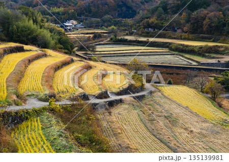 日本の棚田百選　中山千枚田 135139981