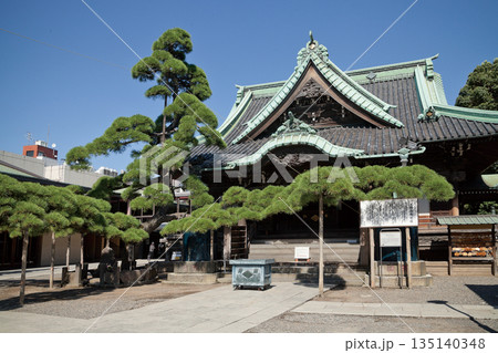 柴又帝釈天 135140348