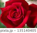 赤いバラ　薔薇 135140405