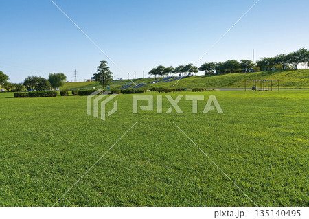 江戸川（柴又公園） 135140495