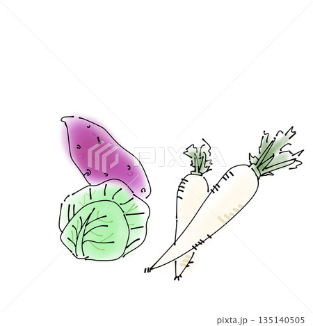 野菜セット イラスト 食材 手描き 料理素材 さつまいも キャベツ 大根 135140505