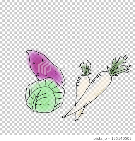 野菜セット イラスト 食材 手描き 料理素材 さつまいも キャベツ 大根 135140505