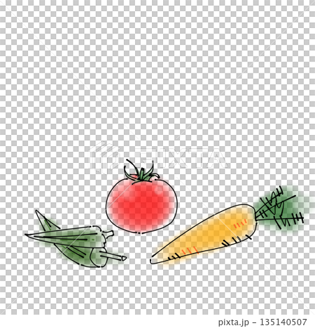 Simple food illustrations | Vegetables, tomatoes, okra, and carrots 135140507