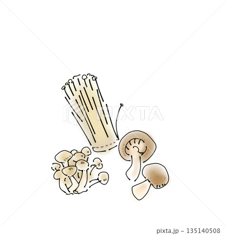 シンプルな食材イラスト|野菜・えのき・しめじ・しいたけ シンプルな食材イラスト|野菜・えのき・しめじ・しいたけ 135140508