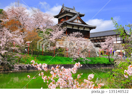【奈良県】晴天の郡山城と満開の桜（追手向櫓） 135140522