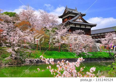 【奈良県】晴天の郡山城と満開の桜（追手向櫓） 135140524