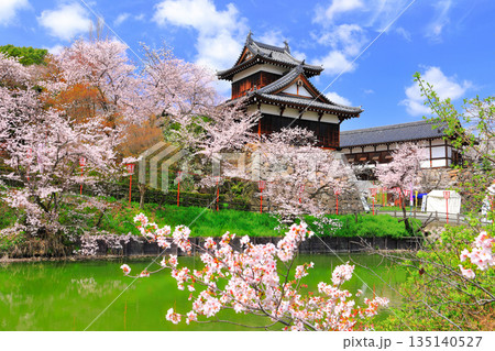 【奈良県】晴天の郡山城と満開の桜（追手向櫓） 135140527