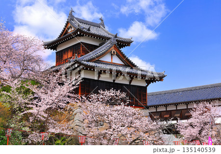【奈良県】晴天の郡山城と満開の桜(追手向櫓) 【奈良県】晴天の郡山城と満開の桜(追手向櫓) 135140539