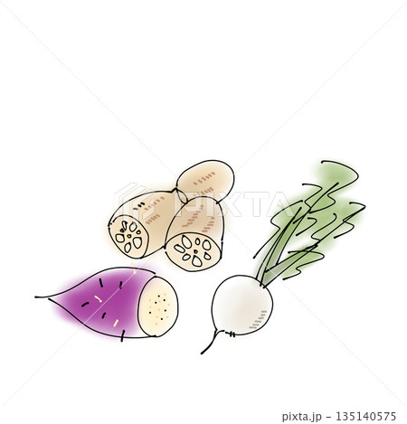 野菜3点セット＿さつまいも・レンコン・かぶ 135140575