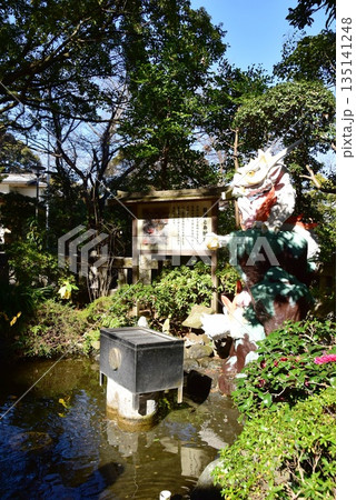 神奈川県藤沢市　江島神社辺津宮の白龍池と銭洗い白龍王 135141248