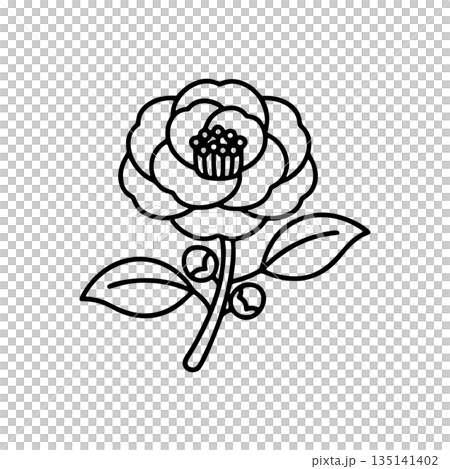 Simple camellia line drawing icon Simple camellia line drawing icon 135141402