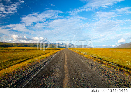 北欧の島国アイスランド　地平線に続くまっすぐな一本道 135141453