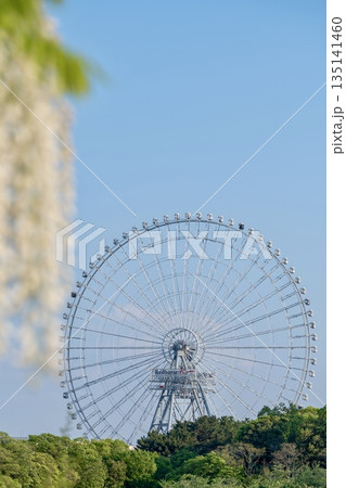 青空にそびえる観覧車・開放感あふれる春景色 135141460