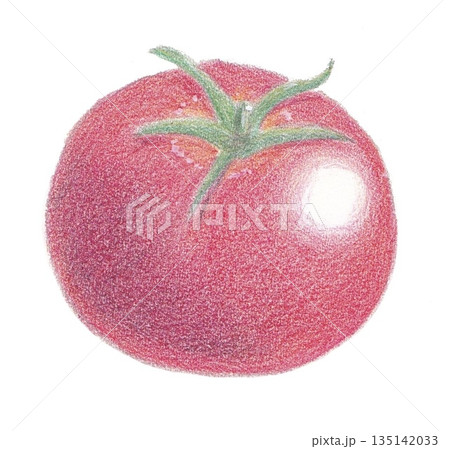 真っ赤なトマト 真っ赤なトマト 135142033
