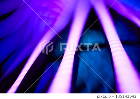 neon lighting glow abstract background  135142042