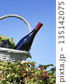 bottle of red wine 135142075