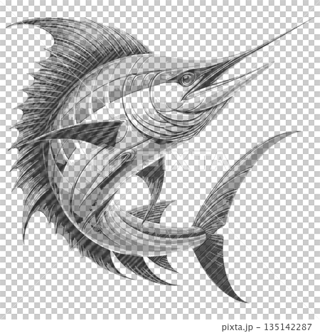 Detailed Blue Marlin Swordfish Engraving Illustration, Vintage Ocean Predator Fish Artwork for Logo, Tattoo, Marine Design, Sport Fishing Concept 135142287
