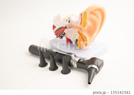 Otoscope with model for audiologist or ENT doctor use otoscope checking ear and treat hearing loss problem. 135142381