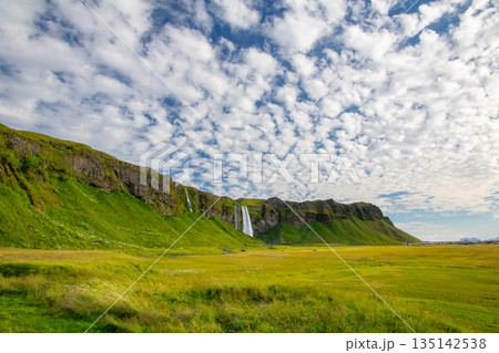 北欧の島国アイスランド共和国　セリャランズサゥ川を流れ落ちるセリャラントスフォスと青空のうろこ雲 135142538