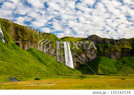 北欧の島国アイスランド共和国　セリャランズサゥ川を流れ落ちるセリャラントスフォスと青空のうろこ雲 135142539