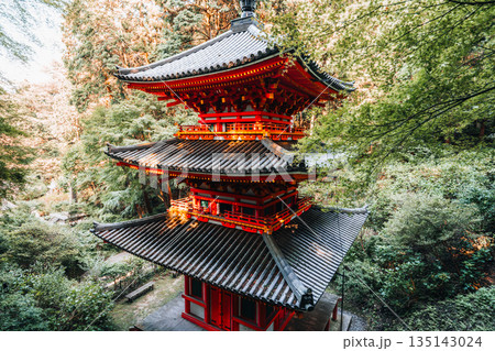 A vibrant red Japanese pagoda stands amidst lush green trees 135143024