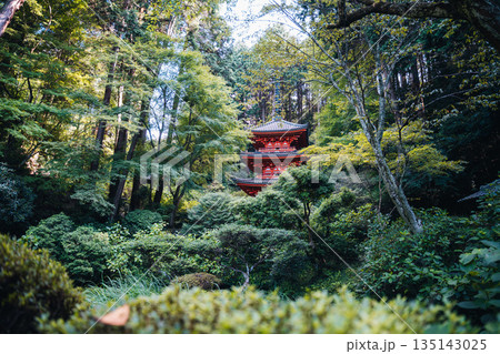 Japanese pagoda nestled in a lush green forest, a serene and spiritual landscape Japanese pagoda nestled in a lush green forest, a serene and spiritual landscape 135143025